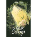 Si  Anak Cahaya